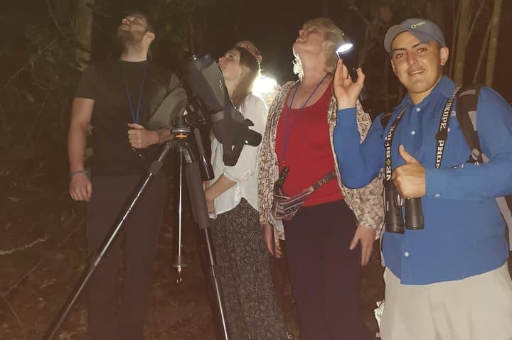 Monteverde Night Tour: Guided Nocturnal Wildlife Walk in the Cloud Forest photo 4
