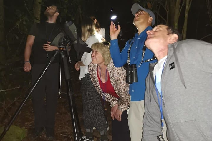 Monteverde Night Tour: Guided Nocturnal Wildlife Walk in the Cloud Forest photo 5