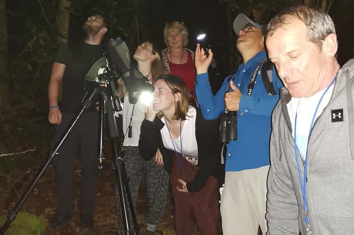 Monteverde Night Tour: Guided Nocturnal Wildlife Walk in the Cloud Forest photo 6