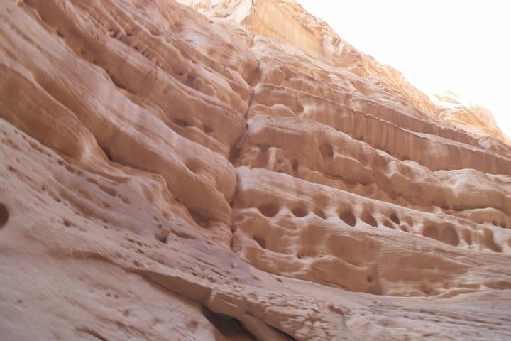 White Canyon Camel Safari from Dahab: Explore Sinai's Limestone Gorge and Ain Khudra Oasis photo 5