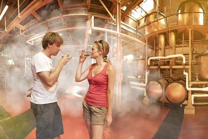 Private Full-Day Winelands Tour: Stellenbosch, Franschhoek & Paarl photo 4