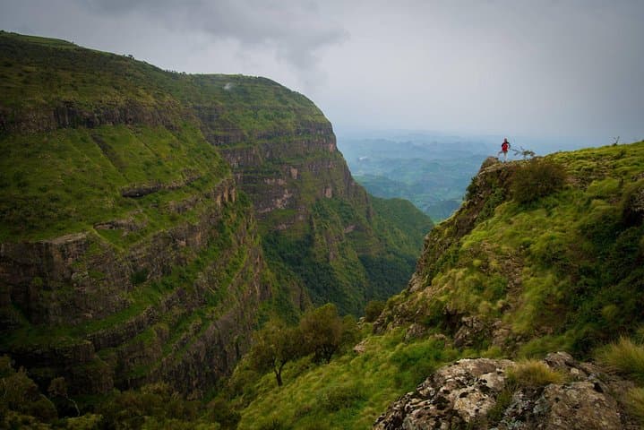 Day Trek Across the Simien Ridge: Geladas, Gorge Views & High-Elevation Hiking photo 2