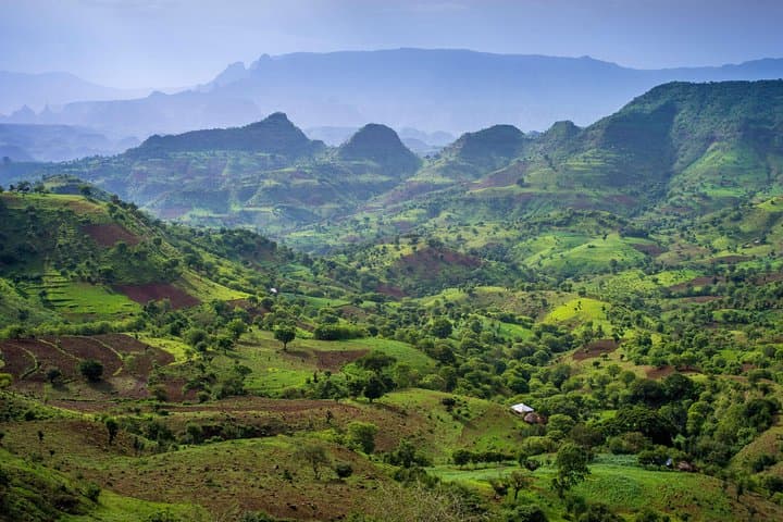 Day Trek Across the Simien Ridge: Geladas, Gorge Views & High-Elevation Hiking photo 3