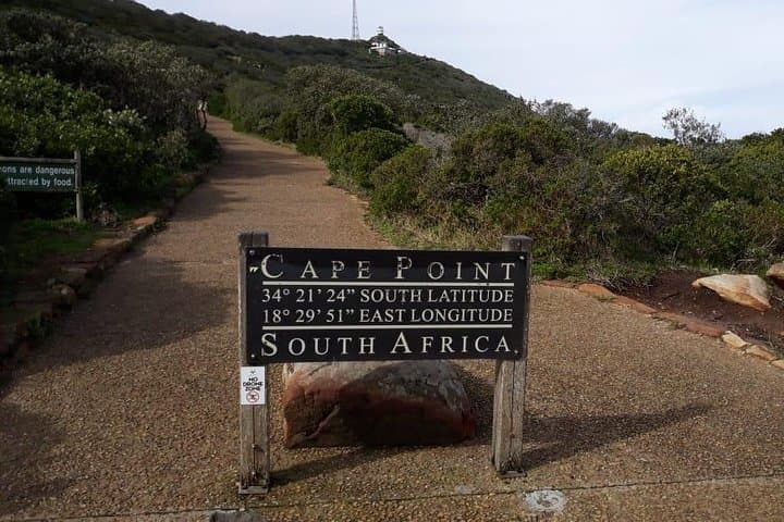 Cape of Good Hope & Boulders Beach Penguins: Full-Day Small-Group Tour from Cape Town photo 3