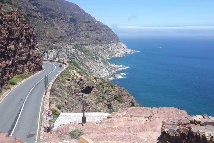 Cape of Good Hope & Boulders Beach Penguins: Full-Day Small-Group Tour from Cape Town photo 4