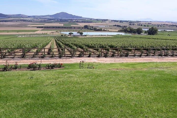 Full-Day Wine Tasting in Stellenbosch, Franschhoek & Paarl — Fees Included photo 2