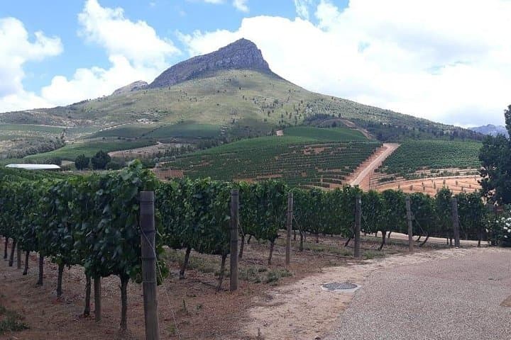 Full-Day Wine Tasting in Stellenbosch, Franschhoek & Paarl — Fees Included photo 4