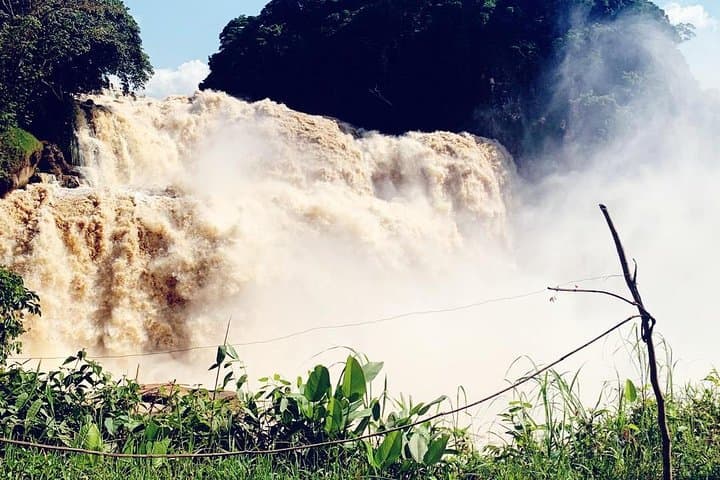 4-Day Zongo Falls & Bonobo Sanctuary Tour from Kinshasa