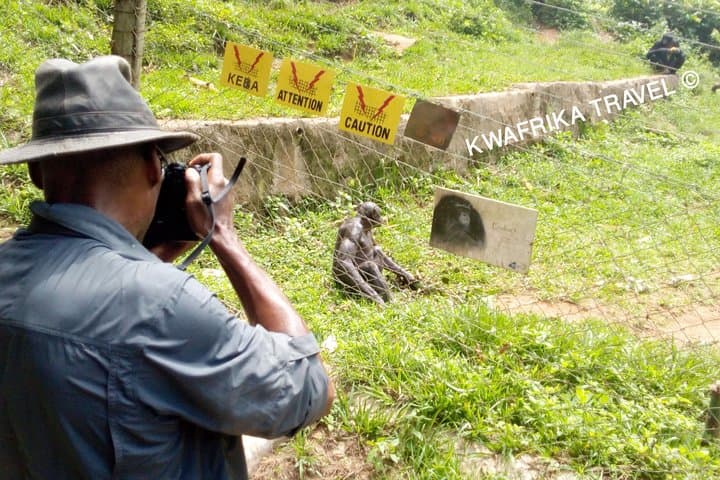 4-Day Zongo Falls & Bonobo Sanctuary Tour from Kinshasa photo 2
