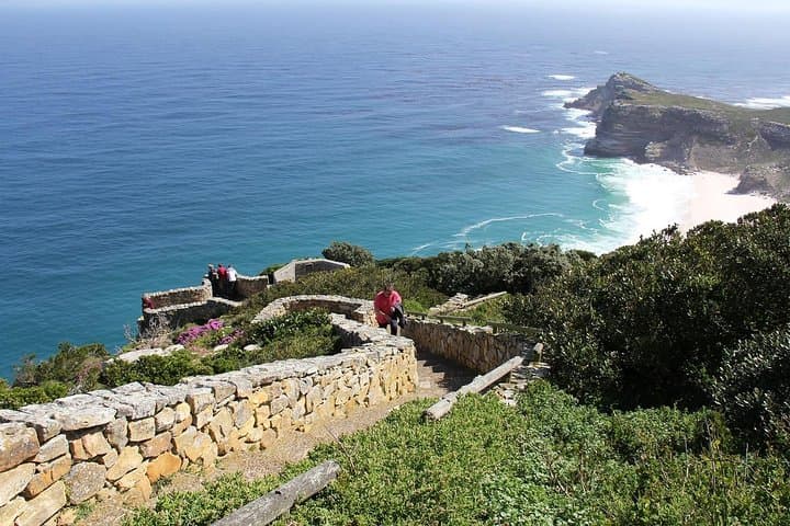 Cape Town Full-Day Private Tour: Table Mountain, Cape Point & Penguins photo 4