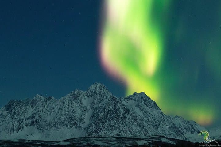 Tromsø Northern Lights Small-Group Photo Tour — Aurora Chase by Minibus photo 3