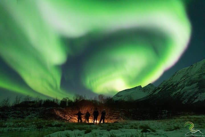 Tromsø Northern Lights Small-Group Photo Tour — Aurora Chase by Minibus photo 4