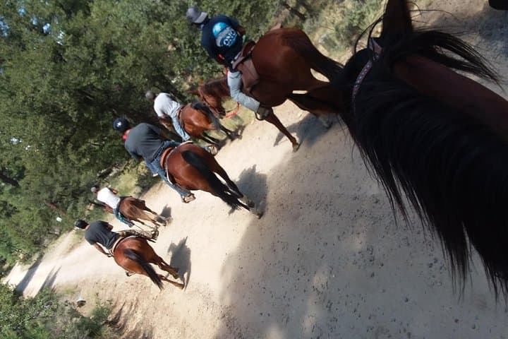 Guided Prescott Horseback Ride: 1.5-Hour Trail Experience photo 2