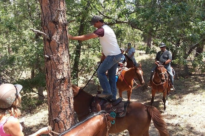 Guided Prescott Horseback Ride: 1.5-Hour Trail Experience photo 3