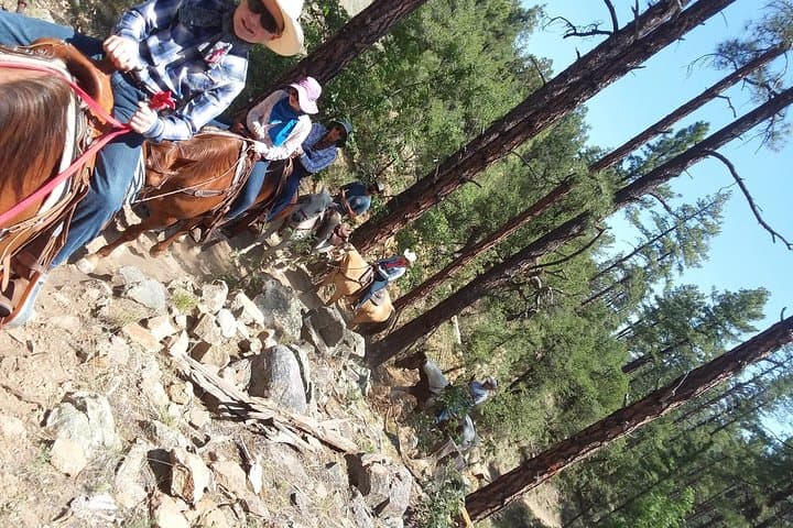Guided Prescott Horseback Ride: 1.5-Hour Trail Experience photo 4