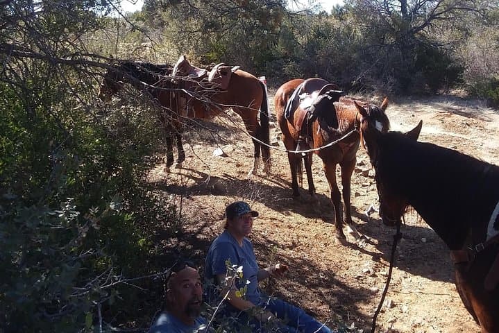 Guided Prescott Horseback Ride: 1.5-Hour Trail Experience photo 5