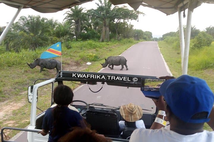 3-Day Kinshasa Congo River & Nsele Park Wildlife Safari and Boat Cruise