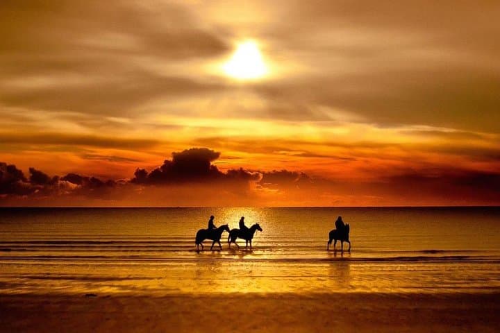 Sunset Beach Horseback Ride in Puerto Plata — Gallop into Caribbean Dusk photo 5