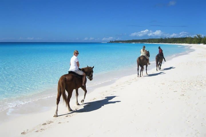 Sunset Beach Horseback Ride in Puerto Plata — Gallop into Caribbean Dusk photo 6