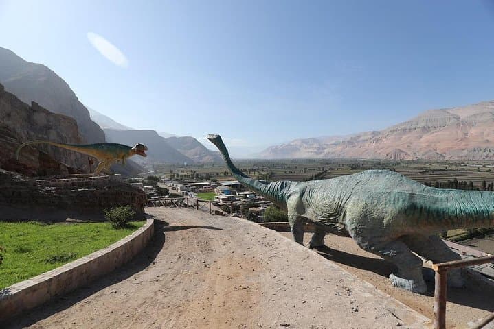 Full-Day Majes Valley Tour: Toro Muerto Petroglyphs & Querullpa Dinosaur Tracks from Arequipa photo 2