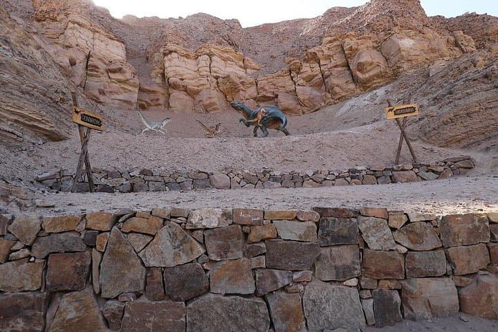 Full-Day Majes Valley Tour: Toro Muerto Petroglyphs & Querullpa Dinosaur Tracks from Arequipa photo 4