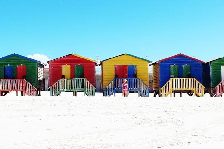Cape Point & Boulders Penguins — Private Full-Day Cape Peninsula Tour photo 5