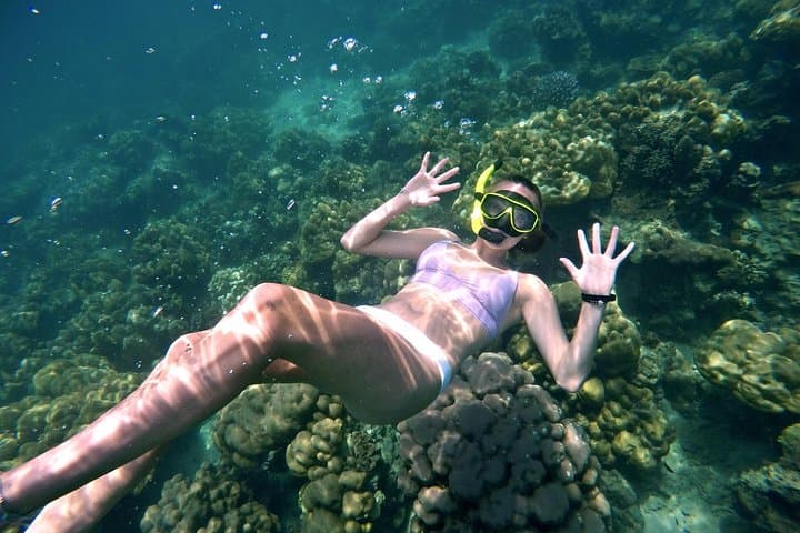 Phi Phi & Bamboo Islands Speedboat Day Trip: Snorkel, Swim and See Maya Bay photo 5
