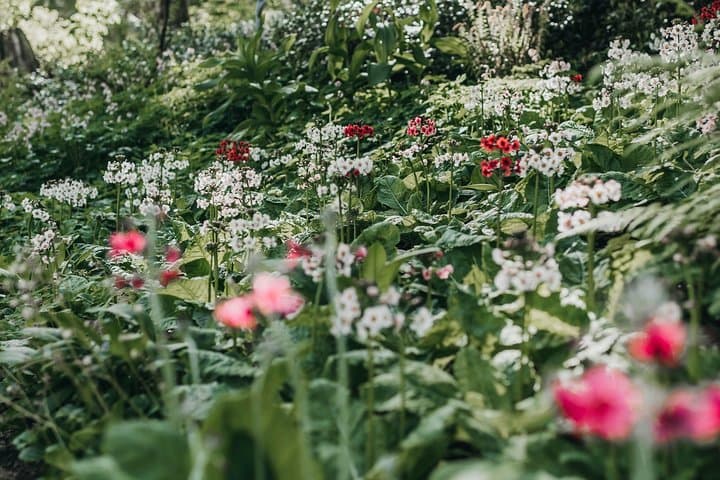 Bloedel Reserve & Bainbridge Island Sightseeing: Gardens, Beach Wildlife and Ferry Photo Stops photo 4