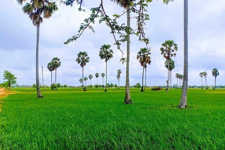 Phnom Penh Tuk-Tuk & Bike Day Trip: Killing Fields, Ta Prohm and Paddy-Field Ride photo 1