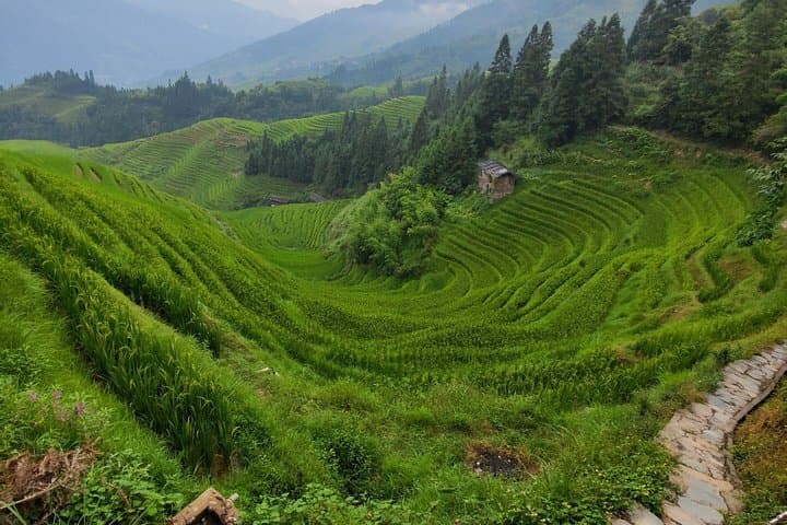 Guilin 2-Day Li River Cruise, Yangshuo & Longji Rice Terraces Adventure photo 3