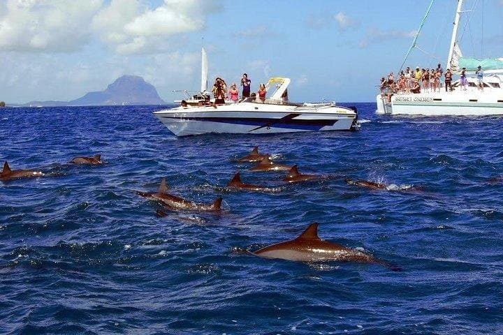 Full-Day Dolphin Swim, Crystal Rock & Ile aux Bénitiers with BBQ Lunch — Mauritius photo 4