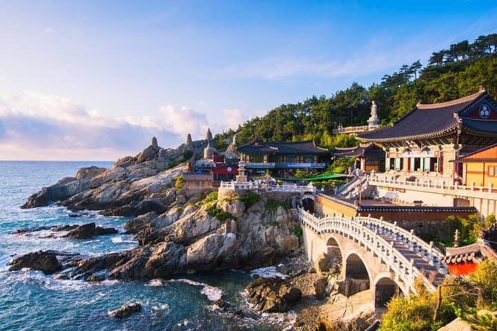 Busan Private Custom Tour — Full-Day Tailor-Made Sightseeing with Pickup