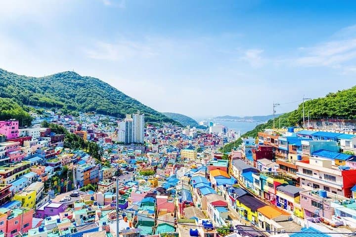 Busan Private Custom Tour — Full-Day Tailor-Made Sightseeing with Pickup photo 4
