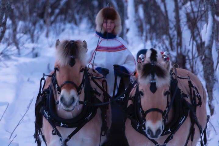 Alta Sleigh Ride: Horse-Drawn Farm Experience & Sami Lavvo Snacks photo 6