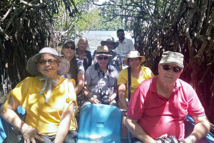 Private 8-Day Chauffeur Guide Across Sri Lanka — Custom Road Trip from Colombo photo 2