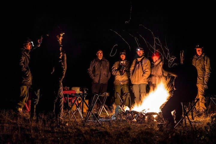 Wolf Howl Experience: 2-Day Wild Camping & Wolf Tracking near Köping, Sweden photo 2