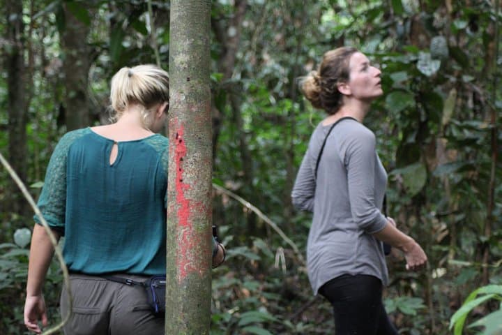 Deramakot Forest Safari 3D/2N — Borneo Wildlife Nights and Day Safaris photo 3