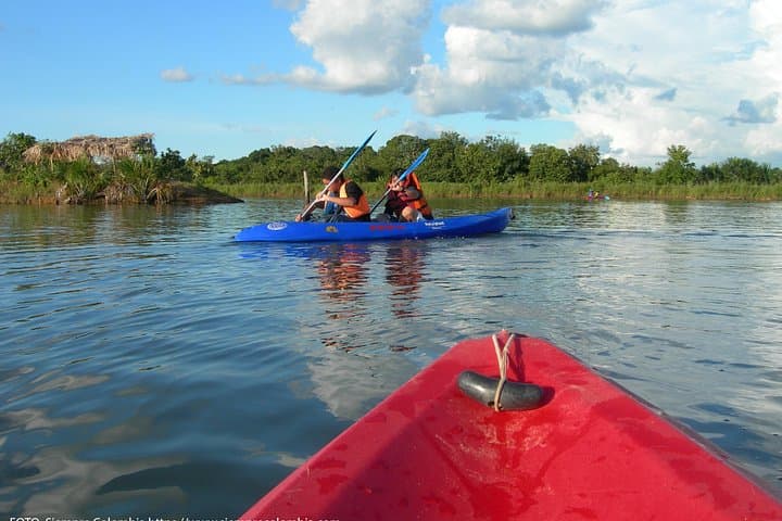 4-Day Colombian Amazon Adventure: Leticia Jungle, Indigenous Communities & River Wildlife