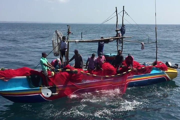 Galle Fort & South Coast Day Tour from Colombo: Forts, Turtles and River Madu photo 3