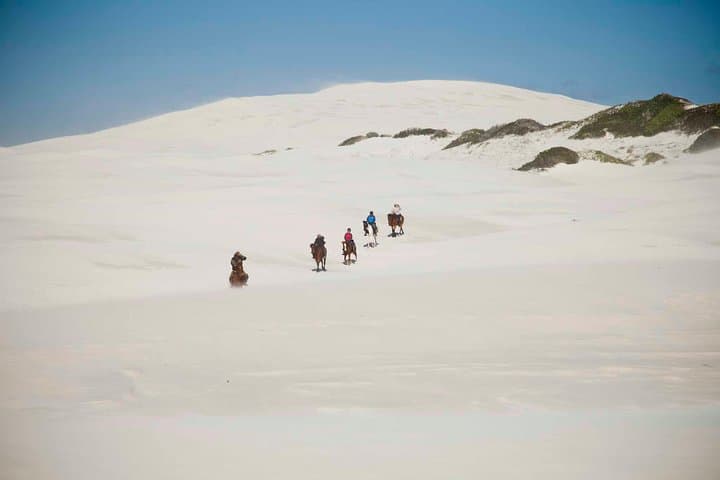 Walker Bay Beach Ride: De Kelders Whale-Watching Horseback Experience photo 2