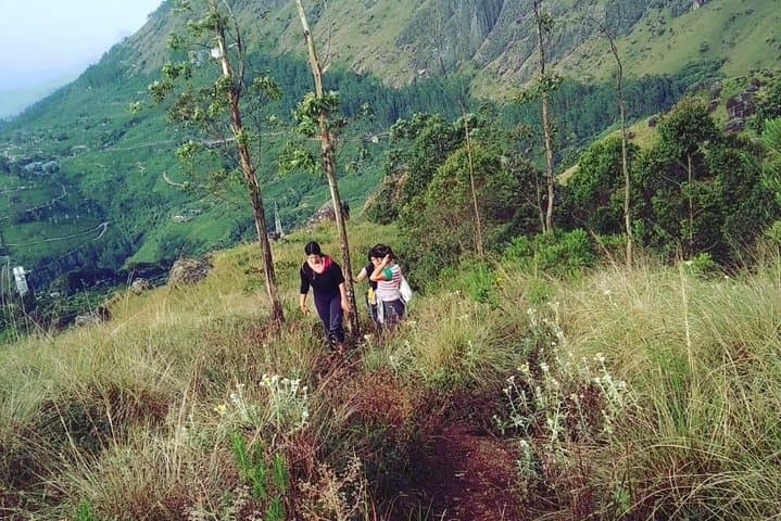 Munnar Half-Day Trek: Tea-Planted Ridges, Cardamom Trails, and Valley Views photo 6