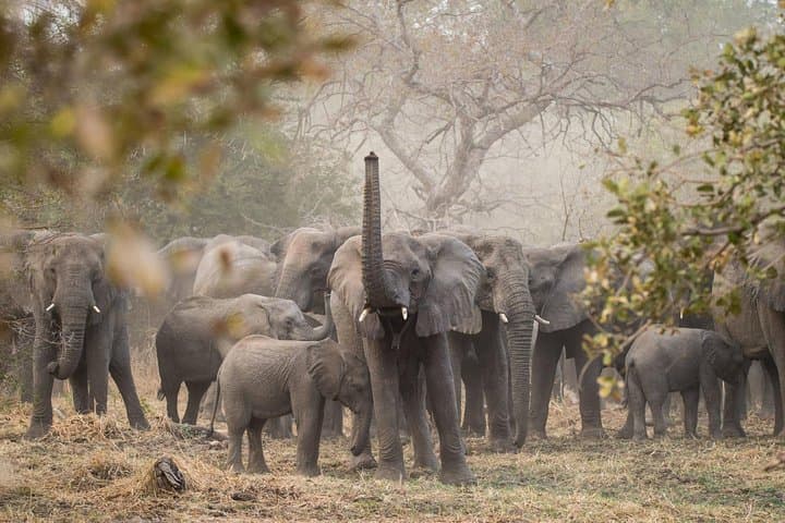 Custom 2-Day Akagera Wildlife Safari — Game Drives, Night Drives & Lake Ihema Boat Rides