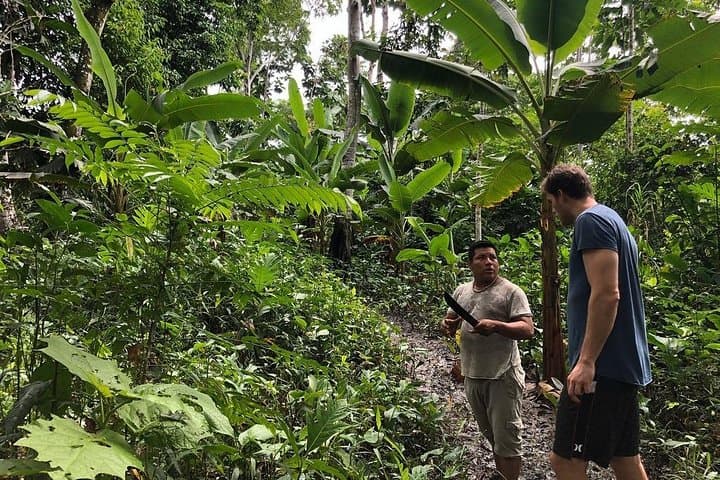 Amazon Medicinal Plant Expedition: 7-Day Healing Immersion from Iquitos