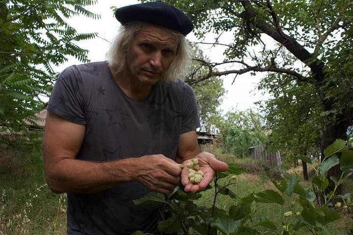 Amazon Medicinal Plant Expedition: 7-Day Healing Immersion from Iquitos photo 2