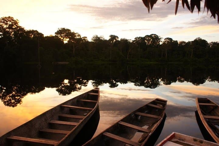 Five-Day Arapaima Experience: Treehouses, Mocagua Community & Pink Dolphins photo 5