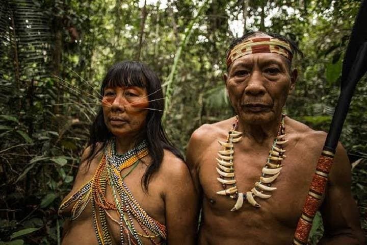 12-Day Green Wild Amazon Expedition: Native Communities & River Camp Immersion from Iquitos