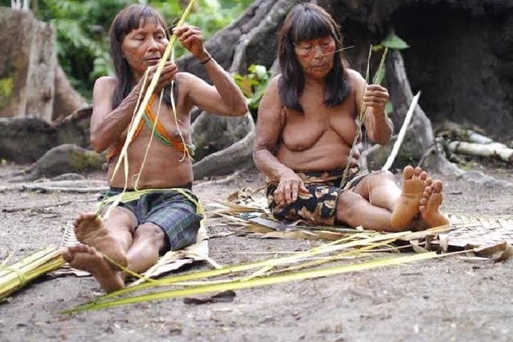 12-Day Green Wild Amazon Expedition: Native Communities & River Camp Immersion from Iquitos photo 2