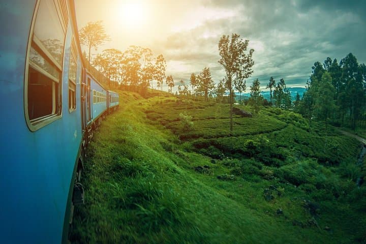 9-Day Sri Lanka Magical Paradise Tour: From Sigiriya’s Rock to Mirissa’s Whales photo 5