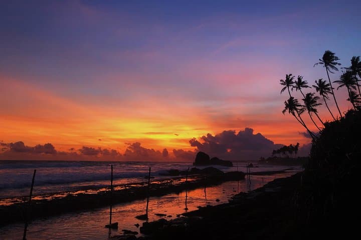 9-Day Sri Lanka Magical Paradise Tour: From Sigiriya’s Rock to Mirissa’s Whales