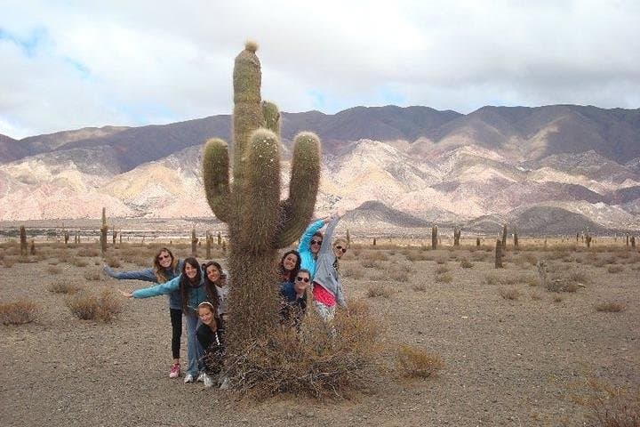 Drive to Cachi and Los Cardones: Argentina’s Giant Cactus Route photo 3